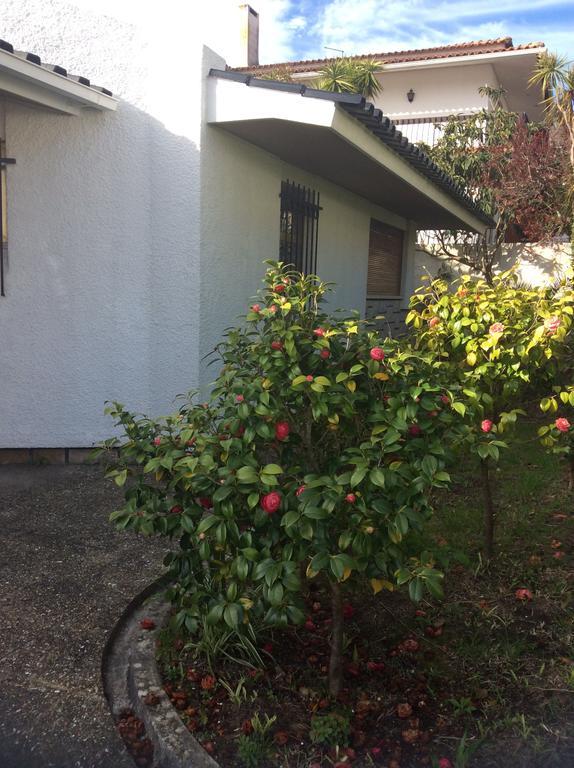 Casa Dos Oliva Villa Alcobaça Esterno foto